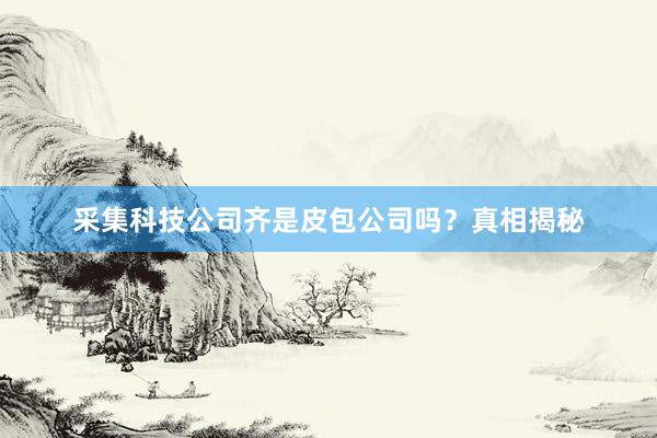 采集科技公司齐是皮包公司吗？真相揭秘